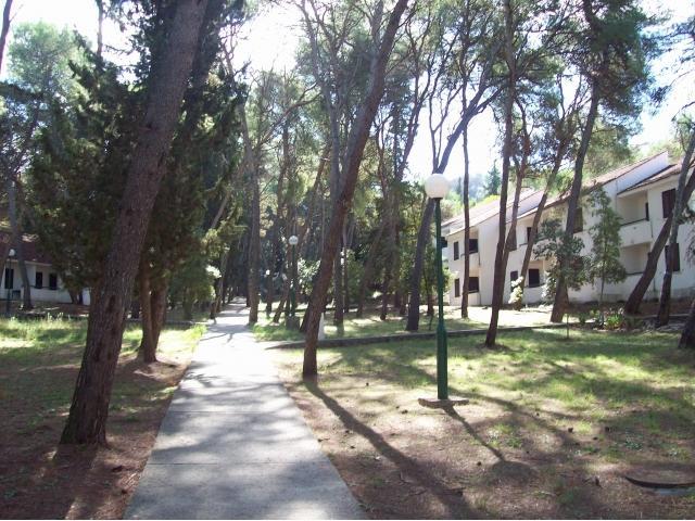 Apartment Mimi, Нечуям Экстерьер фото